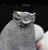 moonstone ring